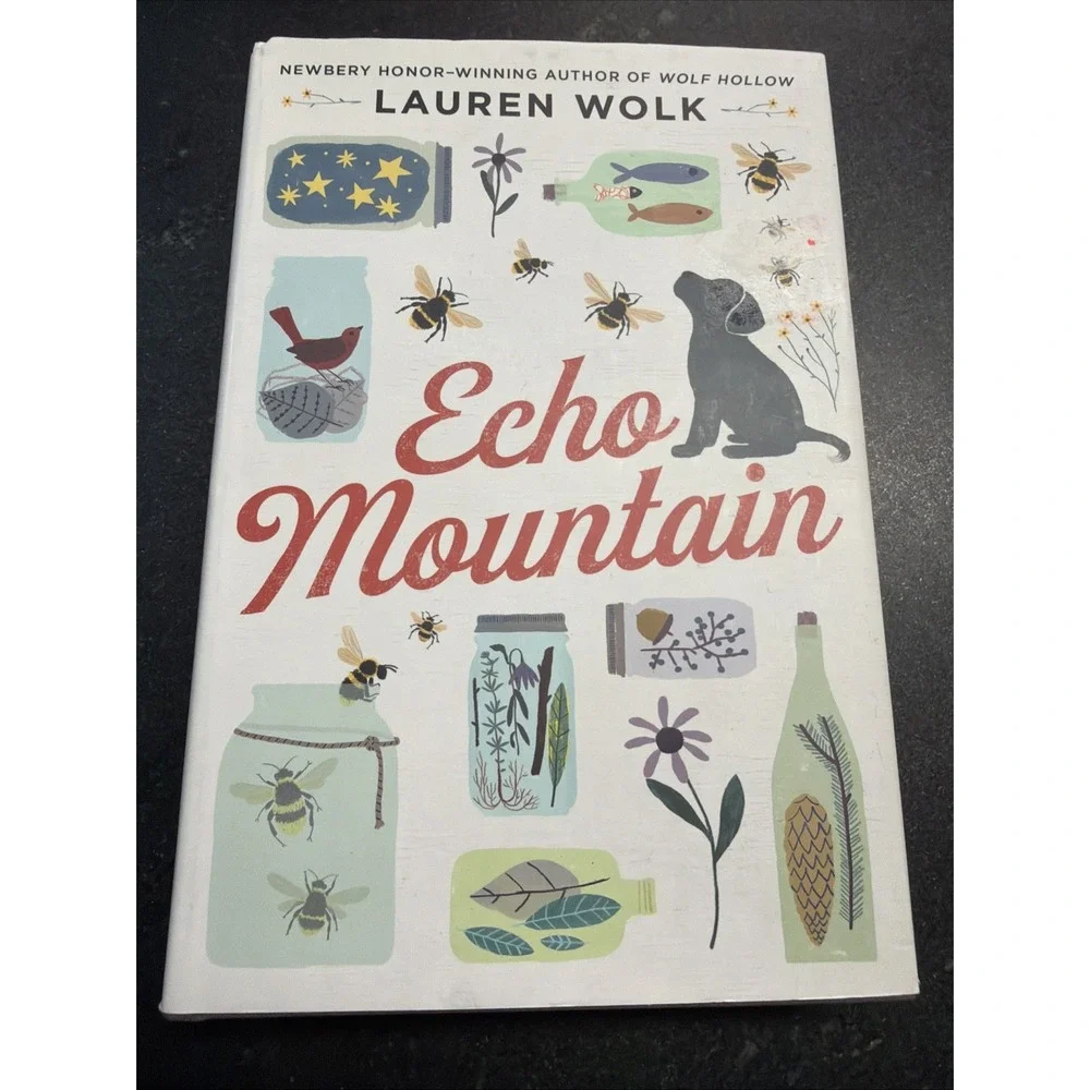 Echo Mountain by Lauren Wolk (2020, Hardcover)